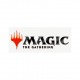 MTG - Kamigawa: Neon Dynasty Collector's Booster Display Pre-Order & Pre-Pay