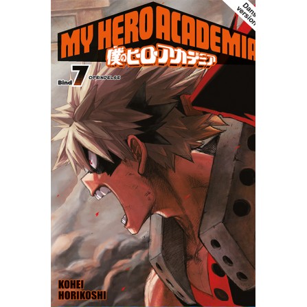 My Hero Academia 7 - DK