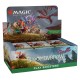 MTG - BLOOMBURROW  PLAY BOOSTER DISPLAY PRE-ORDER & PRE-PAY