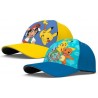 Pokemon Elements Cap