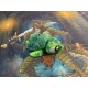 3DGOB - Sea Turtle