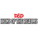 D&D Icons of the Realms