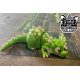 3DGOB - Dragon